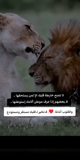 #فأحسن اختيار#دمتم_بالخير_والسعاده_اينما_كنتم #التواضع_من_محاسن_الاخلاق #tiktokviral #tiktokindia 