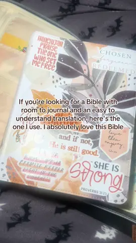 I have a few different bibles with different translations, but this is the one I'm using to read the whole Bible and it's so easy to understand! #bible #biblejournaling #biblejournal #newlivingtranslation #readthebible 
