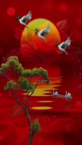 #🕊️🌹🕊️ 