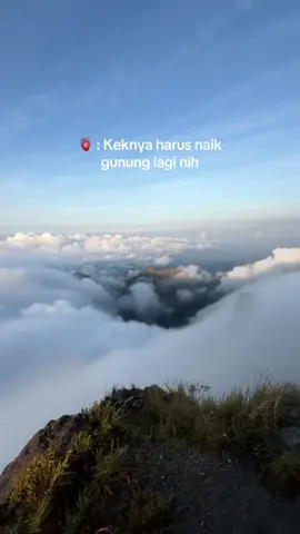 Lautan awan from puncak sejati kelud 😍 #gunungkeludviangantang #pendakigunung #gunung 