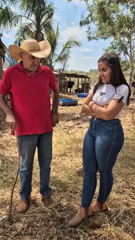 se eu te trair #gado #rural #pecuarista #rural #fazenda 