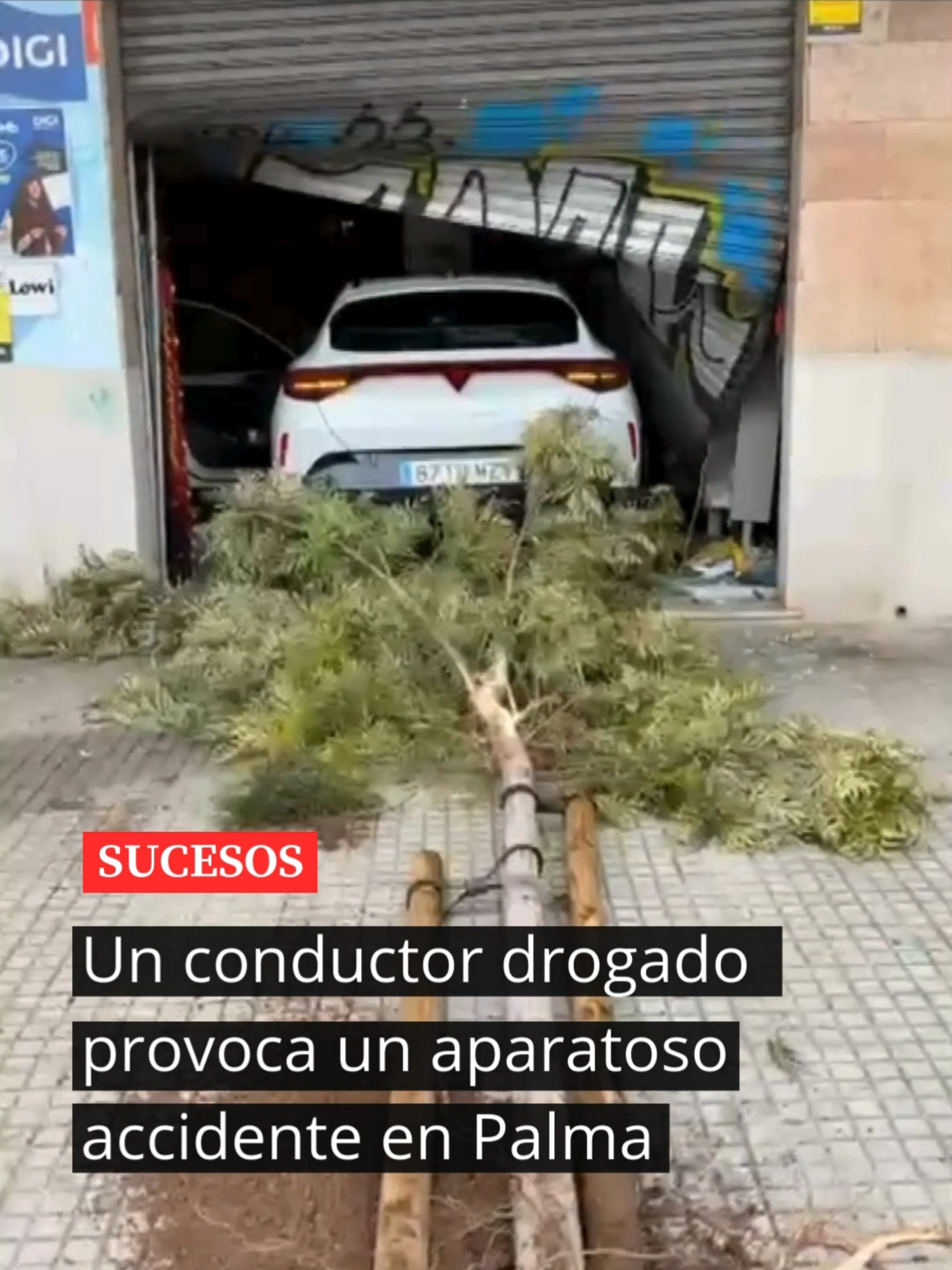 ❗Un hombre bajo los efectos de las drogas ha empotrado este martes su coche contra una tienda en Palma.   En el establecimiento, todavía cerrado, se encontraban los propietarios y su hijo, que ha tenido que ser atendido por los sanitarios. 🔗 Puedes leer la noticia completa en el enlace de la bio #Baleares #Mallorca #Noticias #palmademallorca #noticiasmallorca #CrónicaBalear #noticiaspalma #sucesos #sucesosmallorca #accidente