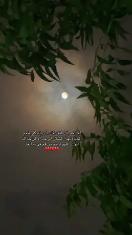 اللهم ارحم من فقدناهم وغابوا عنا غياباً أبدياً واجعلهم في نورٍ الى يوم يبعثون، اللهم ارحم موتانا و موتى المسلمين يارب .. 