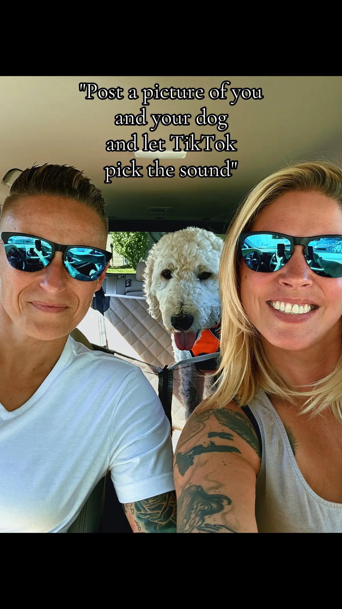 We never thought we would be ready for another dog after losing two in the last year but Zeppelin has come in and helped heal our hearts 💕 We got so lucky 🥰