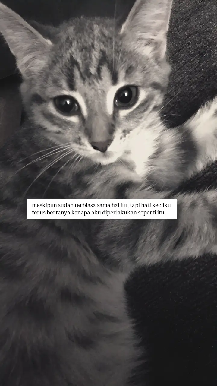 #4u #sadstory #fyp 