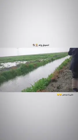 😔💦❄️💨☔️#متابعه_ولايك_واكسبلور_احبكم #fyp #capcutالشتاء #ديسمبر #مطر 