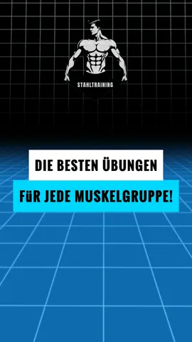 Die besten Übungen für jede Muskelgruppe! Willst du einen kompletten Körper? Dann schreib dir das auf. Wenn du schon leidest, dann wenigstens richtig. #Akademie #training 