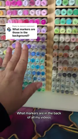 Replying to @Jenna they are Bianyo's new 366 alcohol brush marker set! #TikTokShopCreatorPicks #tiktokshoprestock #alcoholmarkarkers #coloring #adultcoloringbook 