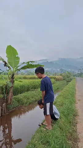 masa lalu masih teringat jelas #alam #natural 