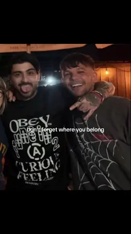 i genuinely never thought i would see them become friends again 😭😭 heart is happy (but sad because we won but at what cost) #zouis #zaynmalik #louistomlinson #liampayne #onedirection 
