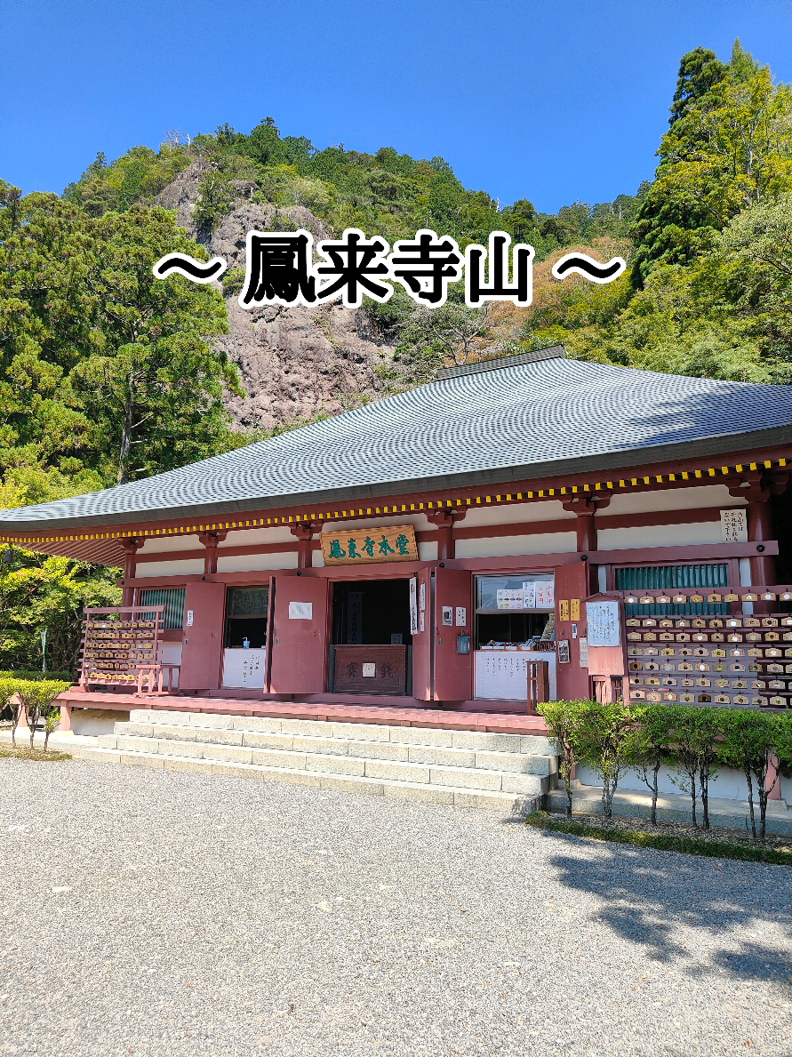 愛知県新城市にある鳳来寺山に行ってきました！ 山全体が国の名勝・天然記念物に指定されている、自然豊かなパワースポットです。 鳳来寺山のおすすめポイントを3つご紹介します。  ・見どころ満載の鳳来寺    約1400年の歴史を持つ古刹で、徳川家康ゆかりの寺としても知られています。重要文化財に指定されている仁王門や本堂など、見どころがたくさんあります。  ・圧巻の1425段の石段    山頂までは1425段の石段が続きます。なかなかの運動になりますが、一歩ずつ登っていくと達成感が味わえます！  ・大迫力の傘杉    樹齢約800年の傘杉は、国の天然記念物に指定されています。その大きさと迫力に圧倒されました！ 秋には紅葉が楽しめるそうなので、紅葉シーズンに訪れてみるのもおすすめです。 自然のエネルギーを感じられる鳳来寺山、ぜひ訪れてみてください！ #鳳来寺山 #鳳来寺 #愛知観光 #新城 #パワースポット   