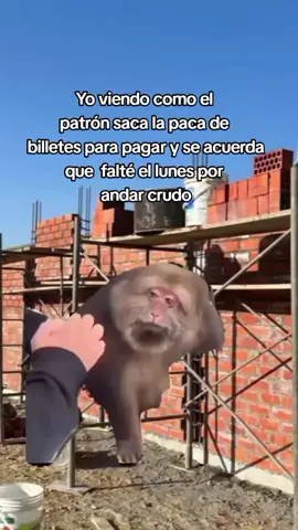 #CapCut #fyp #humor #trabajo #paratii 