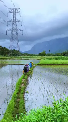 സ്വർഗ്ഗം 🍃🌴🌾🌱🤗