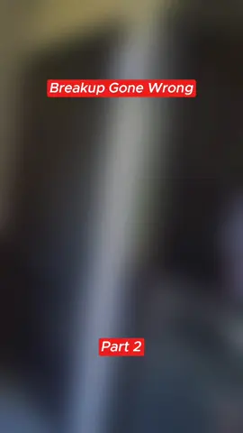 Breakup Gone Wrong #cops #copsoftiktok 