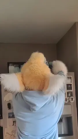 He's fine. I got him down. #fypシ #furry #fursuit #protogens #toasters