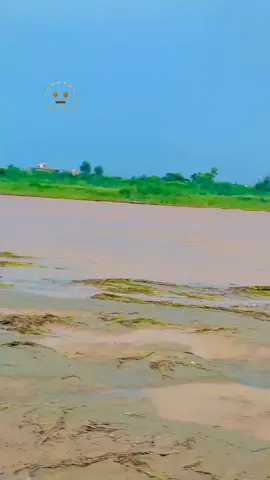 bhi🫂#foryou #foryoupage #foryoupageofficiall #viraltiktok #Trending @★彡ℛα☡α彡★ 