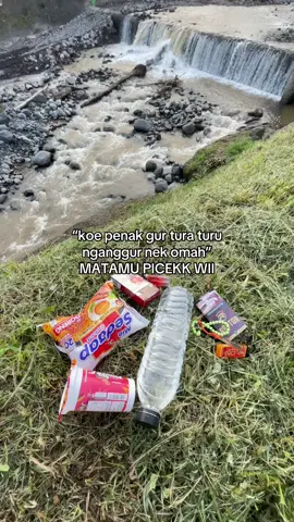 wong ngerti opo#borell2 