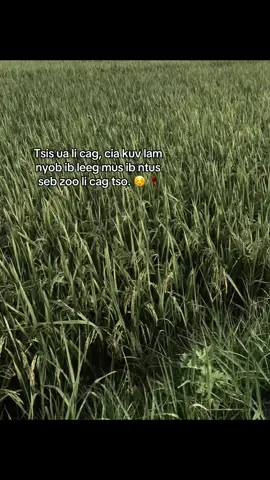 #xuhuong 