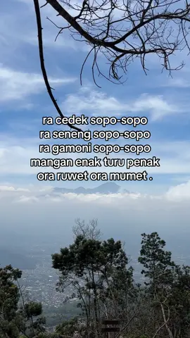 #pendakigunung #pendakifomo #jowo #jowopride #pendaki 