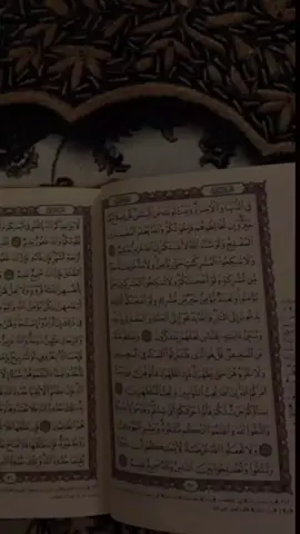 {یَـٰۤأَیُّهَا ٱلَّذِینَ ءَامَنُوا۟ ٱسۡتَعِینُوا۟ بِٱلصَّبۡرِ وَٱلصَّلَوٰةِۚ إِنَّ ٱللَّهَ مَعَ ٱلصَّـٰبِرِینَ}  ــــــــــــــــــــــــــــــــــــــــــــــــــــــــــــــــــ #سورة_البقرة #علي_نمير #قرآن #تلاوة_خاشعة #القرآن_الكريم 