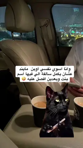 #اوبن_مايند #openminded #سالفة #الشعب_الصيني_ماله_حل😂😂 #explore #fyp #trending #MemeCut #MemeCut #MemeCut #Meme #MemeCut 