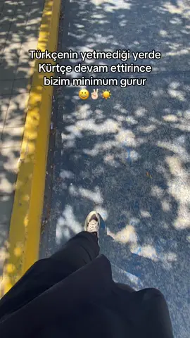 Kürdiş problem 😁#mardin #midyat #kızıltepe #qoser 