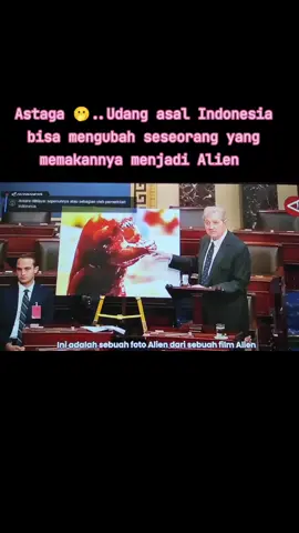 Jangan makan udang,awas jadi Alien 😬#udang #masyarakatindonesia 