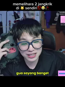 guys mari kita berdoa besok nul bisa live ga ngelag lagi, takutnya ntar pensiun 😭🫵@Youtube: nul alexander 🦆🦧 #rraeuphoria #nulalexander #streamclips #clips 