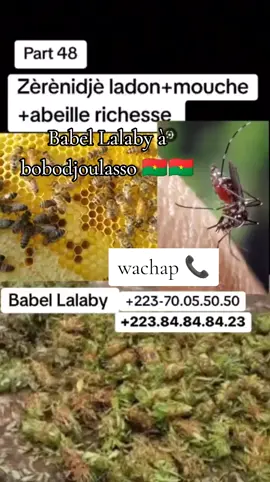 @TIKTOK BURKINA FASO  🇧🇫🇧🇫 @+244 IVO🇦🇴🇵🇹 @TikTok Côte D'Ivoire🇨🇮🇨🇮CI @TikTok Burkinabè 🇧🇫🇧🇫🇧🇫 @tiktok Burkinabé 🇧🇫🇧🇫🇧🇫 @TikTok Canada 🇨🇦🇨🇦🇨🇦 @mauritanie 🇲🇷🇲🇷 @GUINÉE 224🇬🇳🇺🇸 