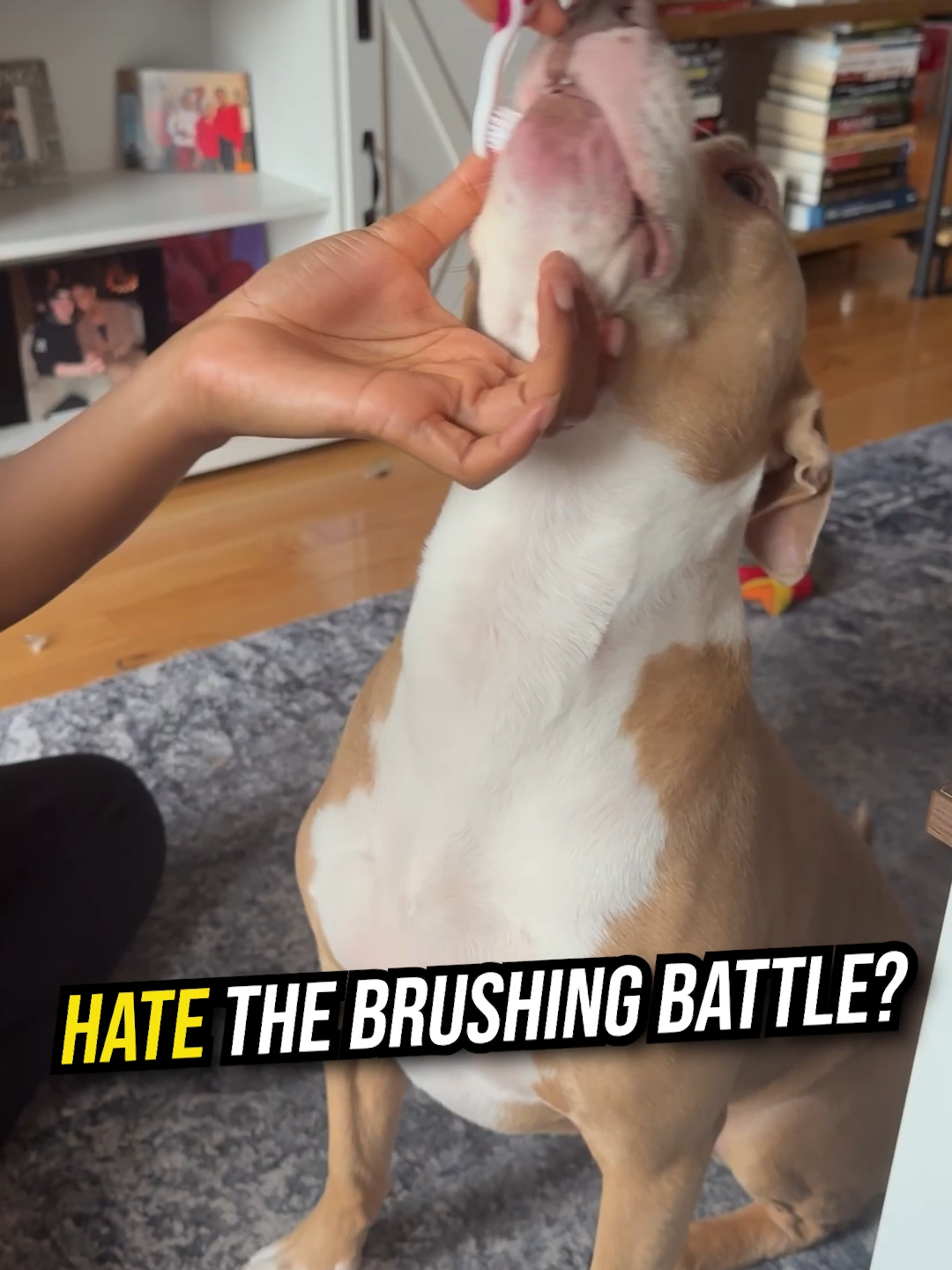 ❗️VET APPROVED DOGGY DENTAL TIP❗️ Have you tried everything to help your pup's bad breath, yellow teeth or tartar build up? 🤯 I know how difficult and time consuming it can be, that's why I recommend this effortless Dental Powder - ProBright® Advanced by PetLab Co. It's super easy to use, just sprinkle 1 scoop daily over your dogs food! Supporting bright & healthy teeth has literally never been easier! 😍