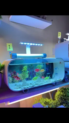 #aquarium #aesthetic #fyp #foryou 