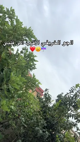 #الشعب_الصيني_ماله_حل😂😂 #fyppppppppppppppppppppppp #wintervibes 