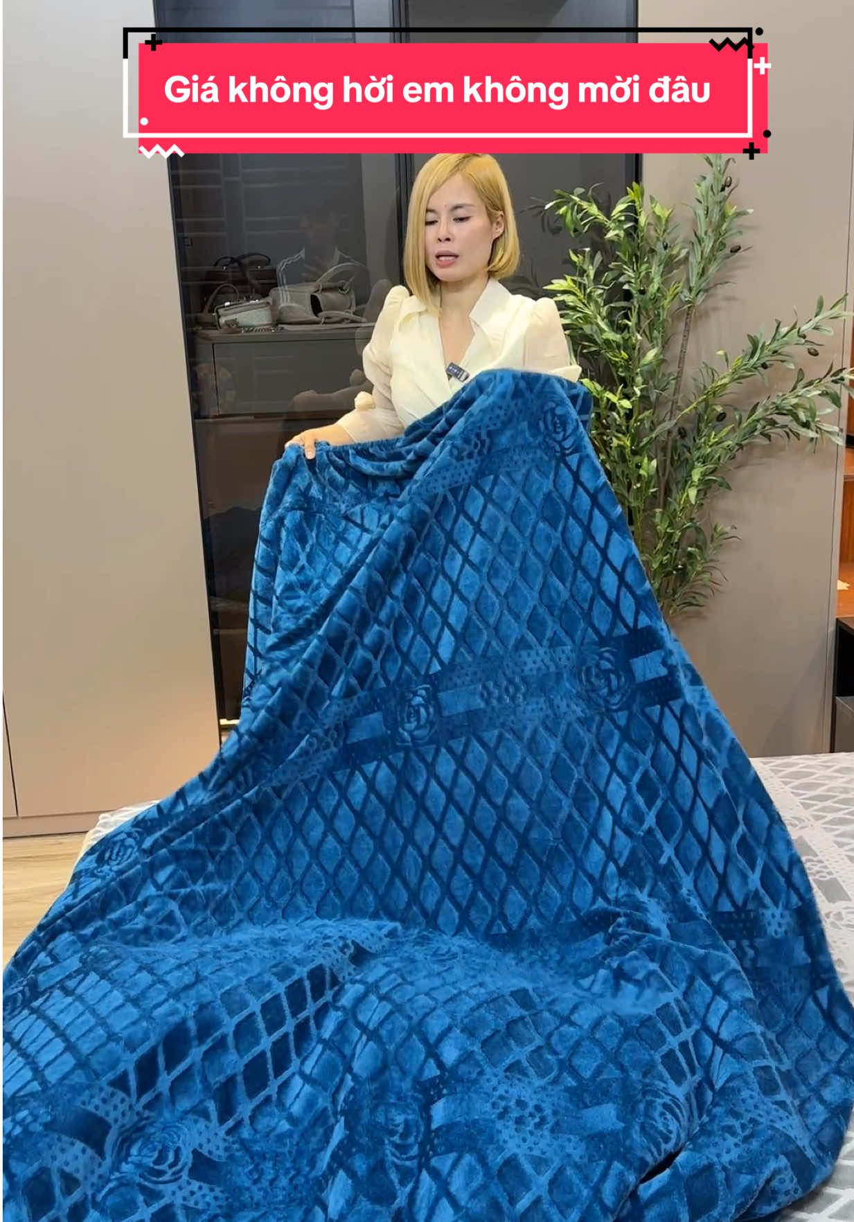 Giá không hời em không mời đâu #xuhuongtiktok #thinhhanh #setga3mon #gacoco 