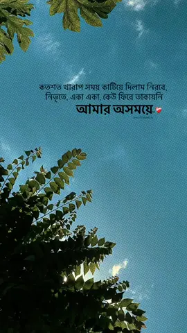 কতশত খারাপ সময় কাটিয়ে দিলাম নিরবে, নিভৃতে, একা একা, কেউ ফিরে তাকায়নি আমার অসময়ে..❤️‍🩹#bdtiktokofficial #foryoupage❤️❤️ #bdtiktokofficial🇧🇩 #tiktok #fypシ゚viral @TikTok Trends @TikTok 