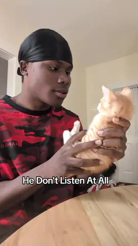 #cat #kitty #funny #youngthug 