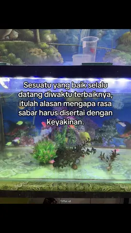 #tiffel #quotesaesthetic #viraltiktok #katakata #fyp 