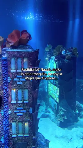 Como te sientes hoy?  #mujereslatinas #aquarium #frasesdeamor #compartir #fyppppppppppppppppppppppp 