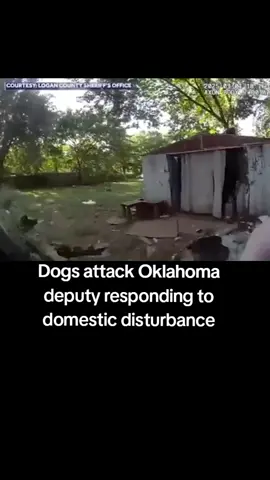 #Dogs attack #Oklahoma deputy responding to domestic disturbance #cops 