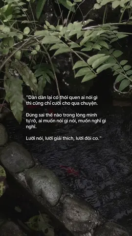 …#tamtrang #story 