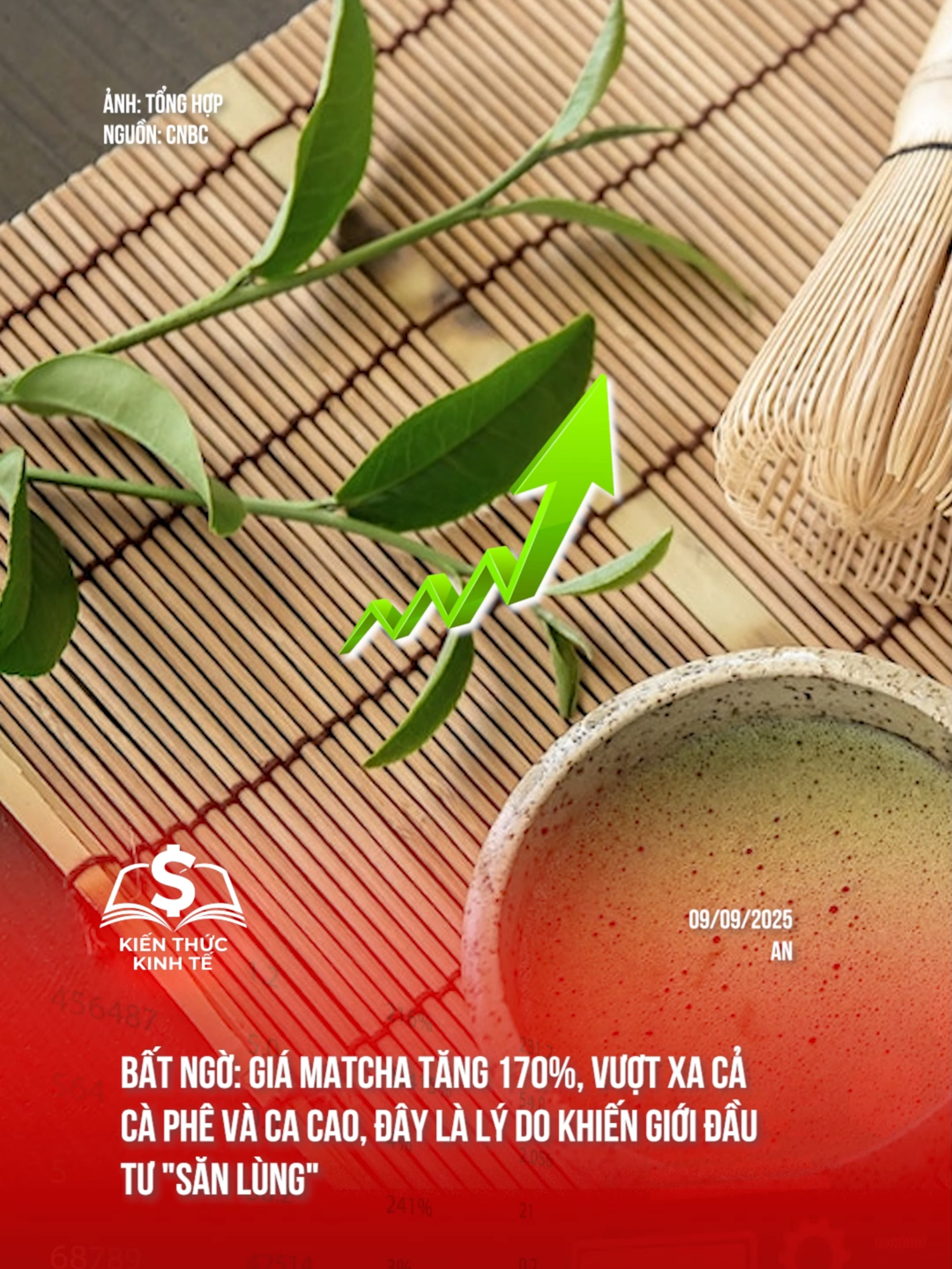 Giá matcha tăng 170%, vượt xa cả cà phê và ca cao, đây là lý do khiến giới đầu tư 