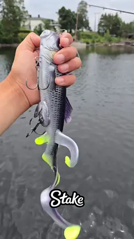 #fishing #fishingtiktoks #viral 