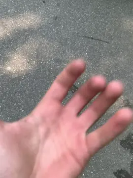 #CapCut 