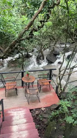 #ในสวนลับ #thehiddenfallsในสวนลับ #thehiddenfalls #คาเฟ่บางพระ #ศรีราชา 🌊💦🌳🦚