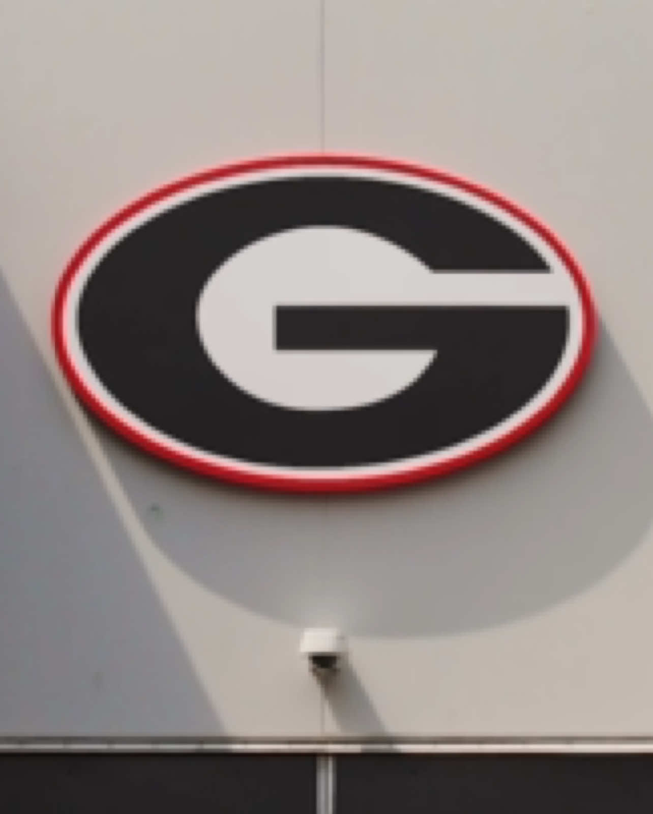 🎬Victory Highlights | Game Two #GoDawgs #georgiafootball #fyp #cfb #uga 