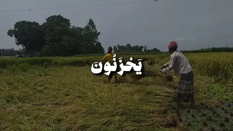 الآية 61 من سورة الزمر  ﴿ وَيُنَجِّي اللَّهُ الَّذِينَ اتَّقَوْا بِمَفَازَتِهِمْ لَا يَمَسُّهُمُ السُّوءُ وَلَا هُمْ يَحْزَنُونَ﴾ [ الزمر: 61] ادعوا لجدي ولجدتي بالرحمه #قران #quran #سورة_الزمر #عبدالبديع_غيلان #اكسبلورexplore 