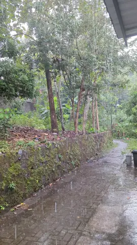 suasana ketika hujan deras mengguyur desa 