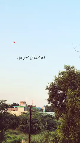 سارے وسدے وقت دے بیلی ہن۔❤️‍🩹🌾#foryou #foryourpages #poetry #aesthatic #poetrystatus 
