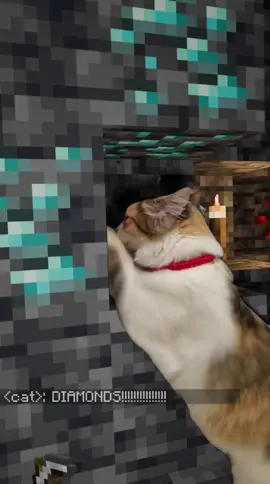 who is gonna tell him? part 1 |#cat #Minecraft #meme #funny #foryou 