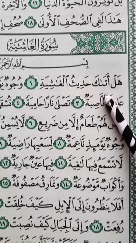 Recitation Of Quran Surah Al-Ghashiyah 📖 🎧 🖤 #quran #fyp #fypシ #foryoupage #unfrezzmyaccount 