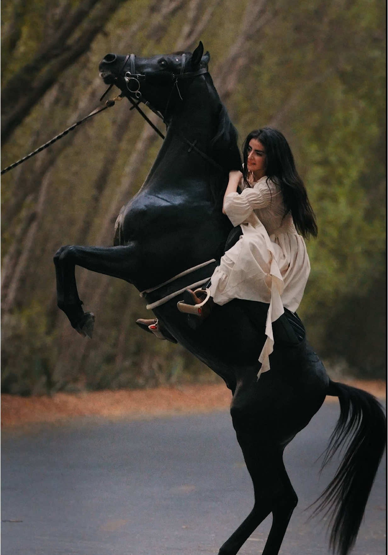 وش اكثر لون تحبونه بالخيول؟🖤#خيل_وخياله🐎 #اكسبلور #fpy 